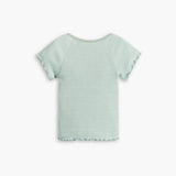 Levi's Dry Goods V-neck Tee in Green