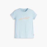 Levi's Graphic Authentic Tee in Blue