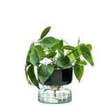 LSA International Canopy Self Watering Planter