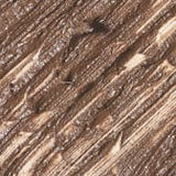 MAC Eyebrows Big Boost Fibre Gel