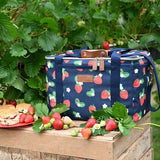 Navigate Summerhouse Strawberries & Cream 18L Family Coolbag Navy