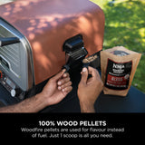 Ninja OO101UK Woodfire Electric Outdoor Oven, Artisan Pizza Maker and BBQ Smoker
