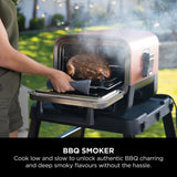 Ninja OO101UK Woodfire Electric Outdoor Oven, Artisan Pizza Maker and BBQ Smoker
