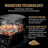 Ninja OO101UK Woodfire Electric Outdoor Oven, Artisan Pizza Maker and BBQ Smoker