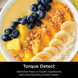 Ninja TB201UK Detect Blender Pro