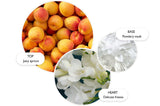 Molton Brown Graceful Apricot & Freesia Body Lotion