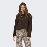 ONLY ONLSIMONI Knitted Pullover In Coffee Bean