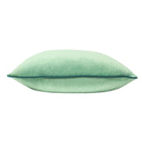 Paoletti Meridian Velvet 55x55cm Feather Cushion