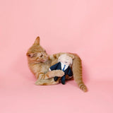 Pet Hates Toys Boris Cat Toy