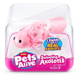 Pets Alive Swimming Axolotls Assortment
