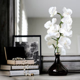 Senti Bergamot and Ginger Orchid Diffuser 250ml