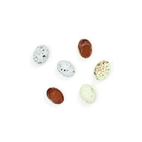 The Chocolate Detective - 12 Christmas Turtle Dove Eggs, 150g