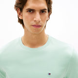 Tommy Hilfiger Seasonal Regular Fit Solid T-Shirt Crushed Mint