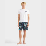Vilebrequin Organic Cotton T-shirt Big Turtle Embroidery In White