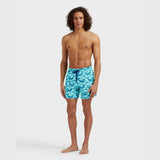 Vilebrequin Swim Shorts Whales In Celadon
