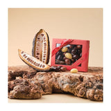 Walnut Tree Large Brazil Nuts In White, Milk & Dark Chocolate