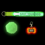 Wild & Woofy Spot Your Dog Kit