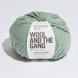 Gang And The Wool Crazy Sexy Wool In Eucalyptus Green 200g