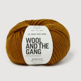 Wool And The Gang Lil Crazy Sexy Wool In Bronzed Olive 100g