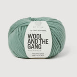 Wool And The Gang Lil Crazy Sexy Wool In Eucalyptus Green 100g