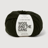 Wool And The Gang Lil Crazy Sexy Wool In Heritage Green 100g