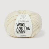 Wool And The Gang Lil Crazy Sexy Wool In Ivory 100g