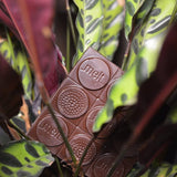 Melt Wild Dark Chocolate Bar