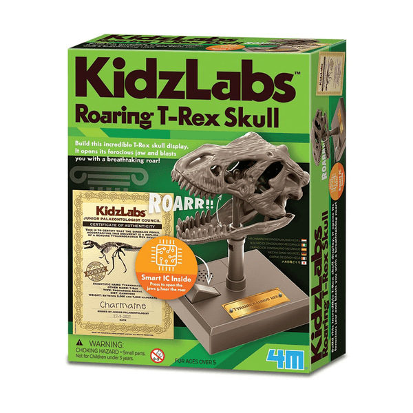 4M Kidzlab Roaring T-Rex Skull