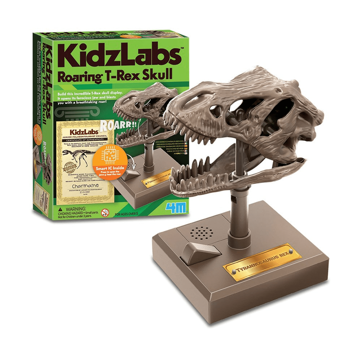4M Kidzlab Roaring T-Rex Skull