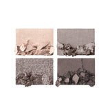 Charlotte Tilbury The Luxury Palette