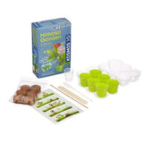 Thames & Cosmos Grow Your Own Mimosa Garden Children's Kit