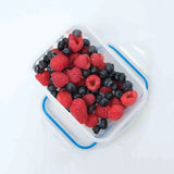 Addis 550Ml Rectangle Clip Tight
