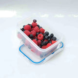 Addis 550Ml Rectangle Clip Tight