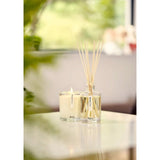 Aery Bonsai Tree Reed Diffuser 200ml