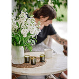 Aery Botanical Green Gift Set 3 Mini Candles 3x70g