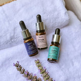 Aery Dream Catcher Fragrance Oil 10ml