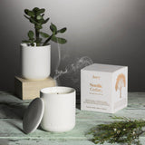 Aery Fernweh Nordic Cedar Candle