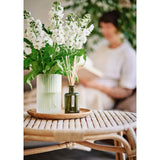 Aery Green Bamboo Reed Diffuser 200ml