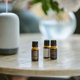Aery Wonderland Fragrance Oil Set 3x10ml