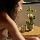 Ashley & Co Candle Tui & Kahili
