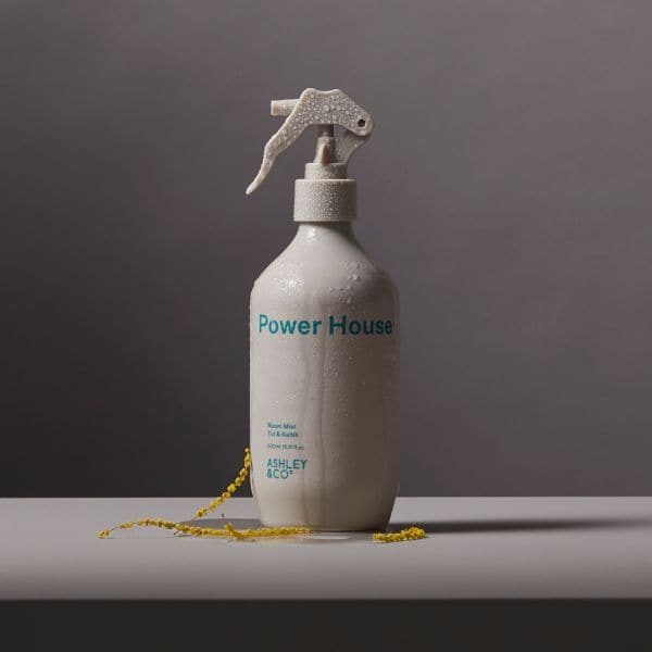 Ashley & Co Power House Room Mist - Tui & Kahili - 500ml