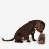 Barbour Dog Hedgehog Toy