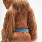 Barbour Leather Dog Collar in Blue, Size Large
