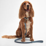 Barbour Leather Dog Lead in Blue