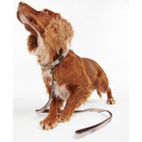 Barbour Reflective Tartan Dog Lead In Taupe/Pink Tartan