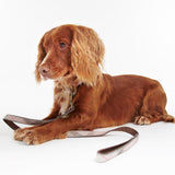 Barbour Reflective Tartan Dog Lead In Taupe/Pink Tartan