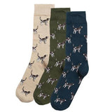 Barbour Pointer Dog Socks Gift Box in Forest Mist