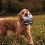 BECO Dog Choc with Carob, Chamomile & Quinoa
