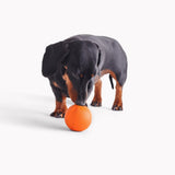 BECO Fetch Ball In Orange