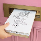 Biscuiteers Champagne Letterbox Biscuits